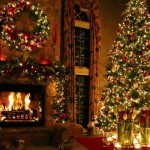 Holidays #1003