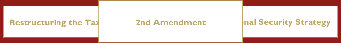 Second-Amend